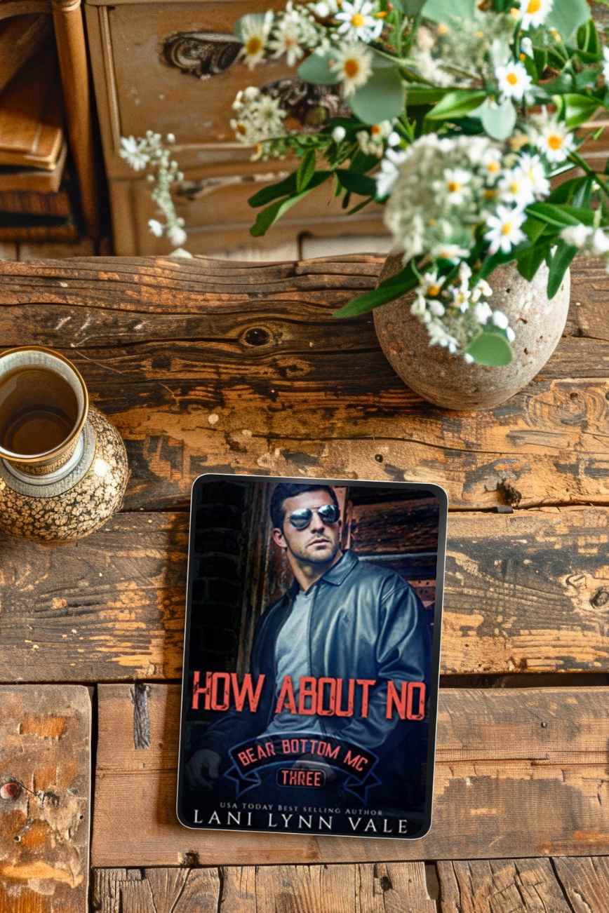 How About No by Lani Lynn Vale Cover Reveal