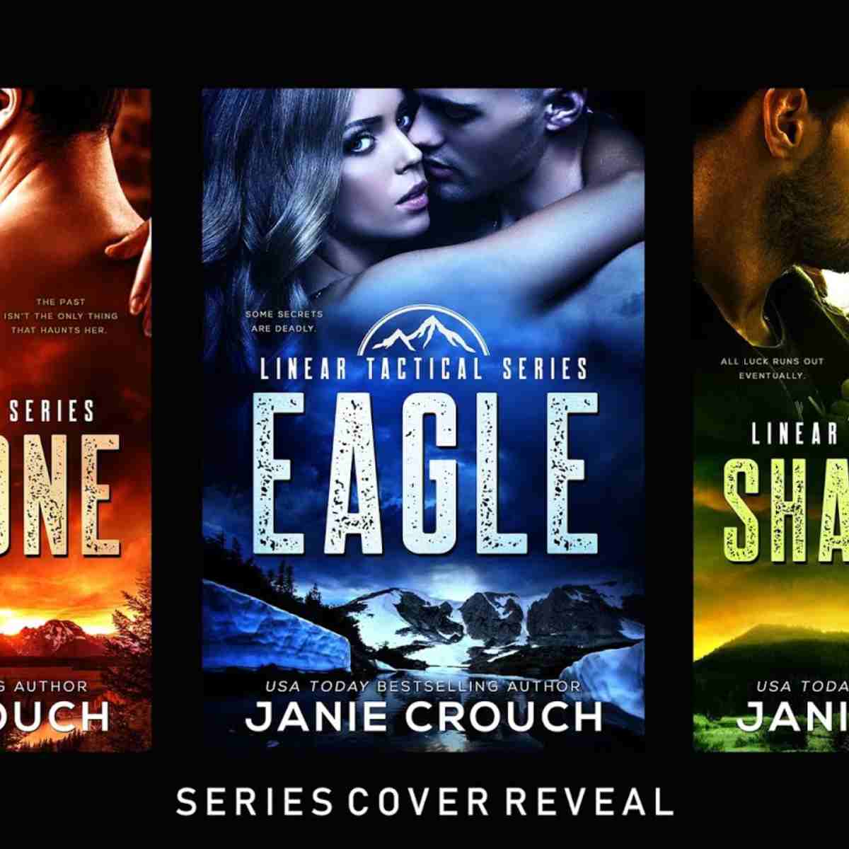 Linear Tactical Series by Janie Crouch - Storied Conversation