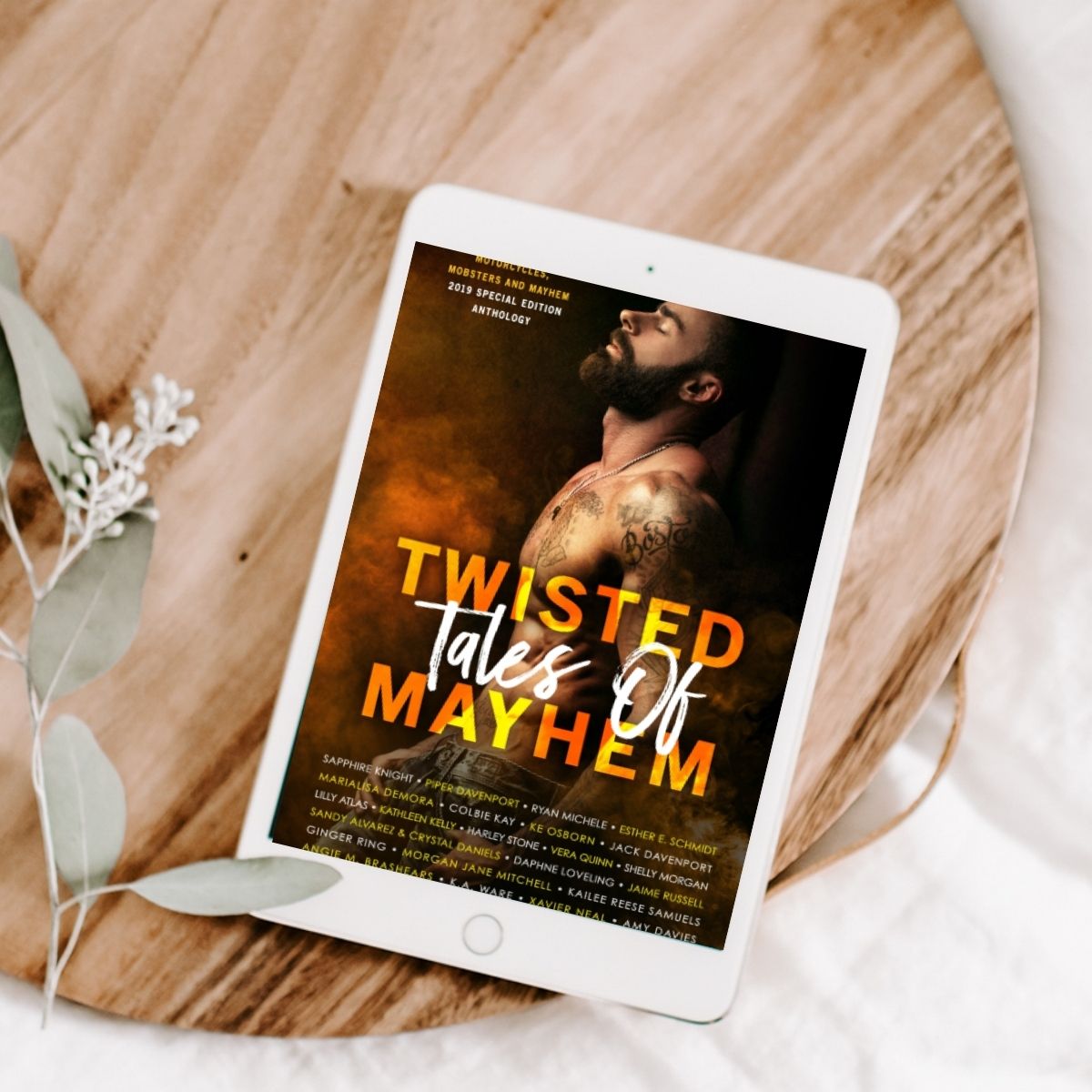 Twisted Tales of Mayhem Anthology - Storied Conversation