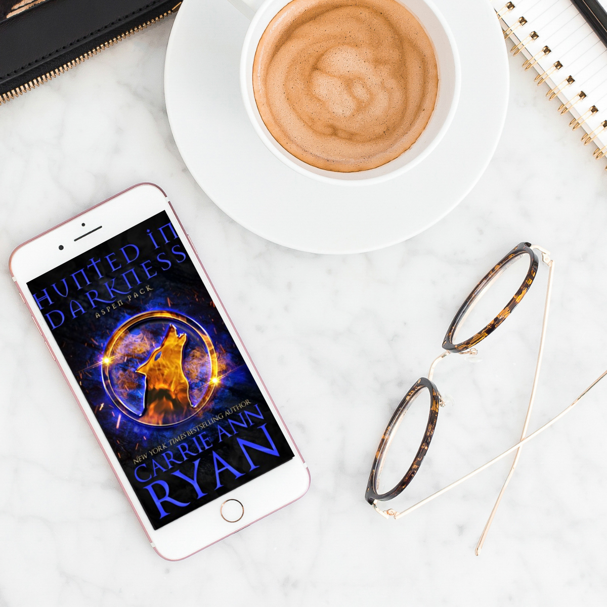 Hunted in Darkness by Carrie Anny Ryan- Storied Conversation