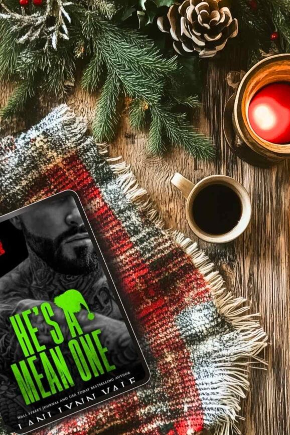 He's a Mean One by Lani Lynn Vale Book Review