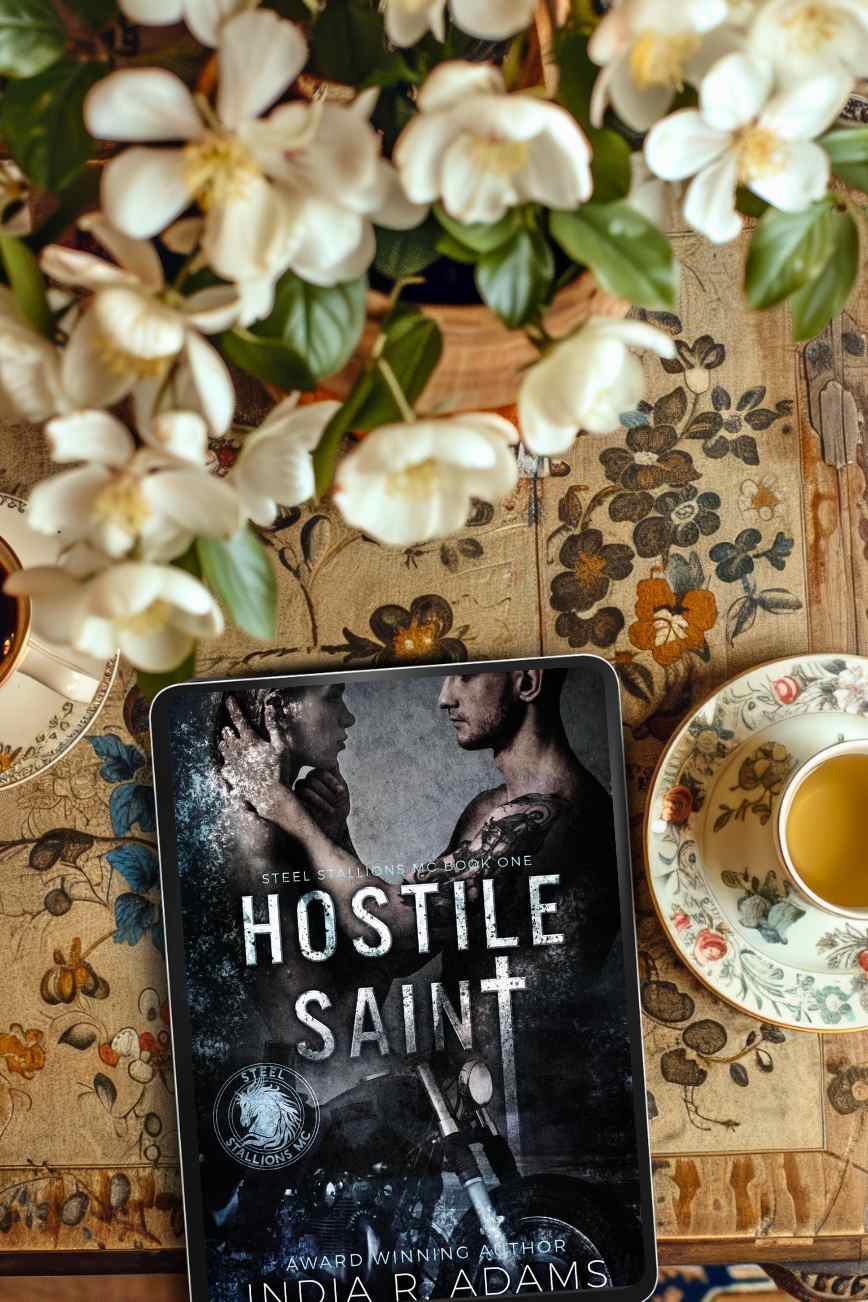 Hostile Saint by India R Adams Book Review