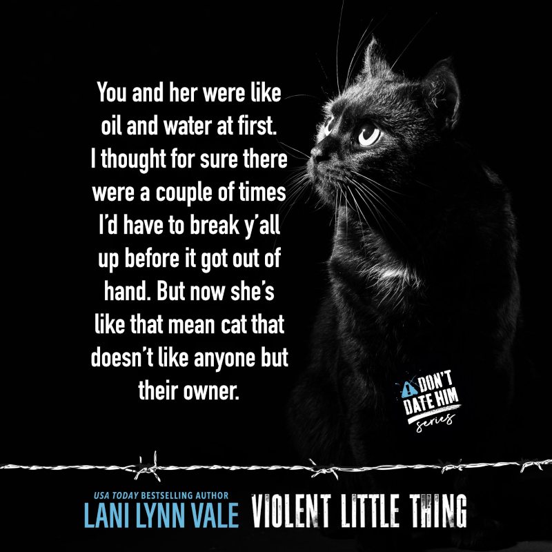 Violent Little Thing Teaser 2